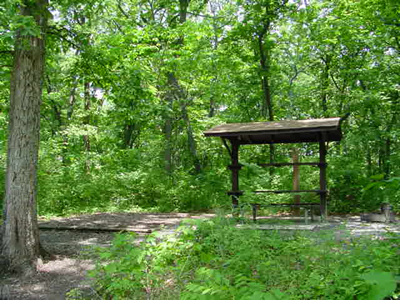 site